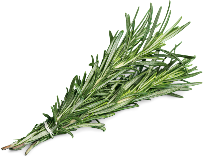 Rosemary.