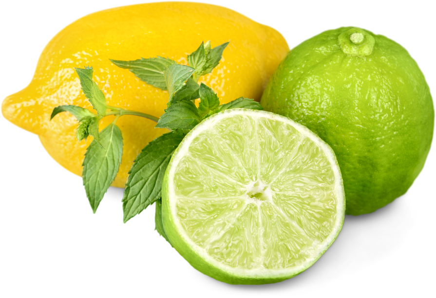 Collection of Fresh Limes and Lemons - Collage