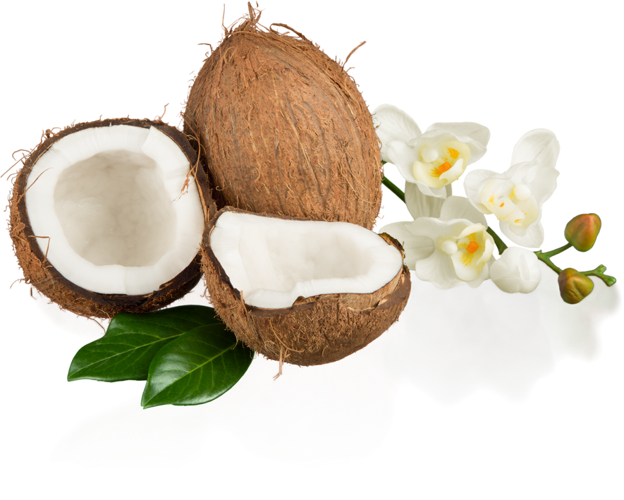Coconut Split Open 