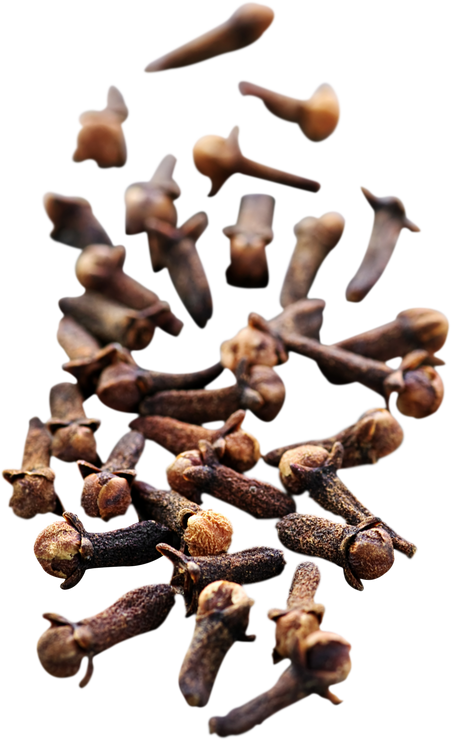 Cloves